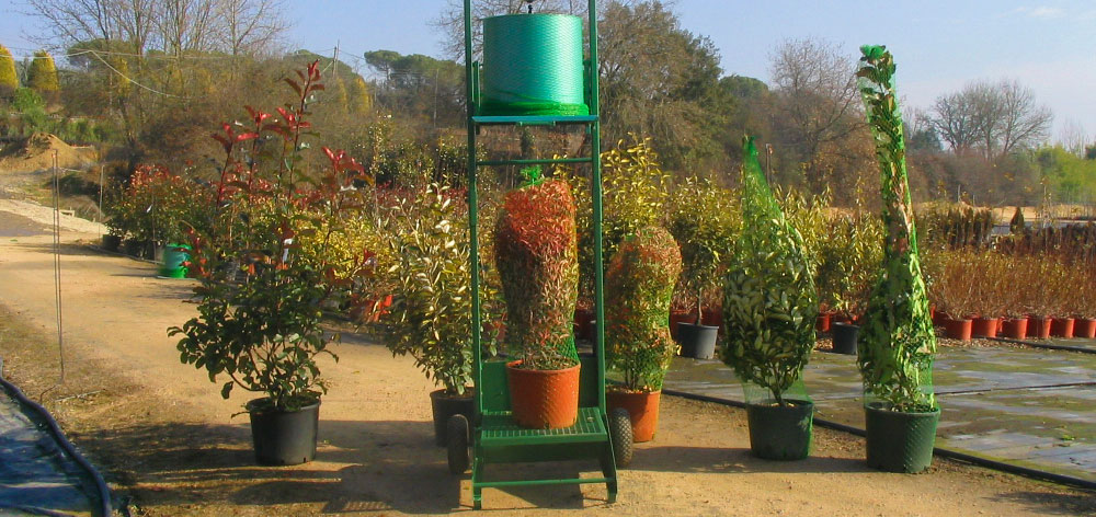 Maquinas de embolsar plantas ornamentales arbustivas